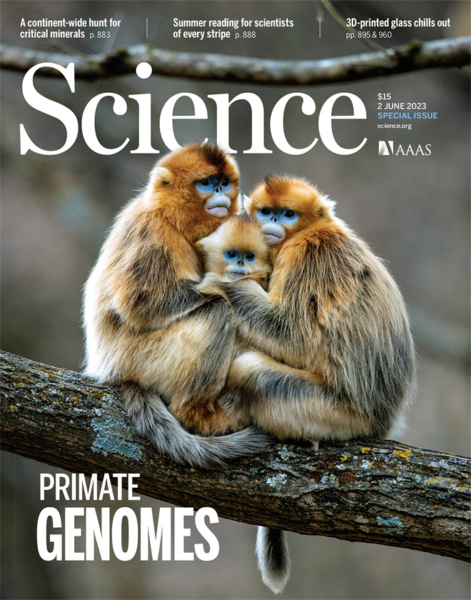 Science封面文章:乐动平台·(中国)官方网站金丝猴研究团队首次系统揭示灵长类社会演化之谜_fororder_《自然》封面.JPG
